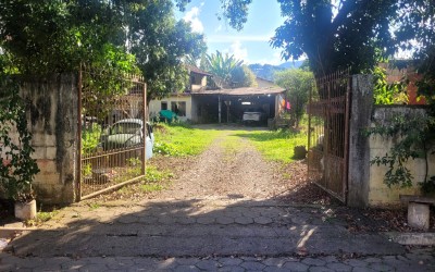 LOTE 1 - BERTA