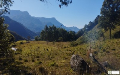 TERRENO - ALAGOA - (Rio Acima)