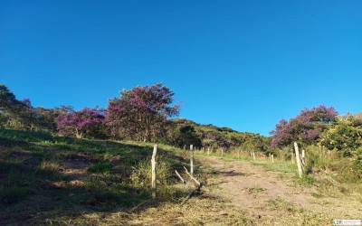 TERRENO - CAPETINGA