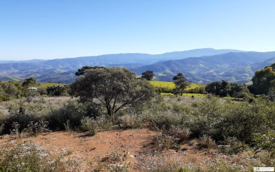 TERRENO  - SOBRADINHO - (12.000m²)